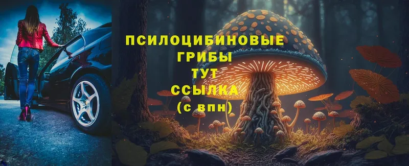 Галлюциногенные грибы MAGIC MUSHROOMS  где найти наркотики  Гусь-Хрустальный 